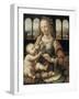 Madonna of the Carnation-Leonardo da Vinci-Framed Giclee Print