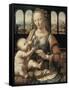 Madonna of the Carnation-Leonardo da Vinci-Framed Stretched Canvas