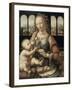Madonna of the Carnation-Leonardo da Vinci-Framed Giclee Print