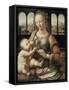 Madonna of the Carnation-Leonardo da Vinci-Framed Stretched Canvas