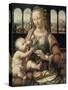 Madonna of the Carnation-Leonardo da Vinci-Stretched Canvas