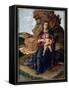Madonna of the Caves - Tempera on Panel, 1489-Andrea Mantegna-Framed Stretched Canvas