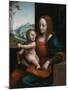 Madonna of the Cherries-Giampietrino-Mounted Giclee Print