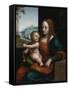 Madonna of the Cherries-Giampietrino-Framed Stretched Canvas