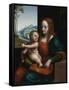 Madonna of the Cherries-Giampietrino-Framed Stretched Canvas