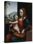 Madonna of the Cherries-Giampietrino-Stretched Canvas