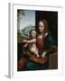 Madonna of the Cherries-Giampietrino-Framed Giclee Print