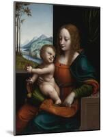 Madonna of the Cherries-Giampietrino-Mounted Giclee Print