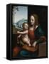 Madonna of the Cherries-Giampietrino-Framed Stretched Canvas