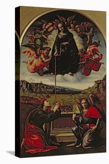 Madonna of the Girdle-Francesco Granacci-Stretched Canvas