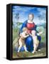 Madonna of the Goldfinch, 1505-06, (Oil on Wood Panel)-Raphael-Framed Stretched Canvas