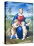 Madonna of the Goldfinch, 1505-06, (Oil on Wood Panel)-Raphael-Stretched Canvas