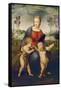 Madonna of the Goldfinch, about 1506-Raphael-Framed Stretched Canvas