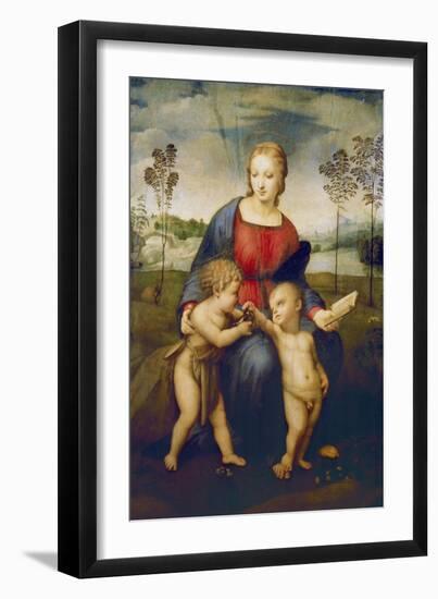 Madonna of the Goldfinch, about 1506-Raphael-Framed Giclee Print