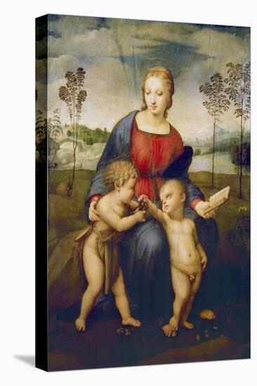 Madonna of the Goldfinch, about 1506-Raphael-Stretched Canvas