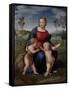 Madonna of the Goldfinch, c.1505-06-Raphael-Framed Stretched Canvas
