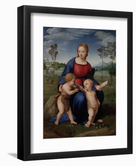 Madonna of the Goldfinch, c.1505-06-Raphael-Framed Premium Giclee Print