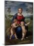 Madonna of the Goldfinch, c.1505-06-Raphael-Mounted Premium Giclee Print
