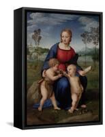 Madonna of the Goldfinch, c.1505-06-Raphael-Framed Stretched Canvas