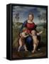 Madonna of the Goldfinch, c.1505-06-Raphael-Framed Stretched Canvas