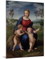 Madonna of the Goldfinch, c.1505-06-Raphael-Mounted Giclee Print