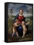 Madonna of the Goldfinch (Madonna Del Cardellin), 1505-1506-Raphael-Framed Stretched Canvas