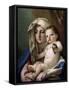 Madonna of the Goldfinch-Giovanni Battista Tiepolo-Framed Stretched Canvas