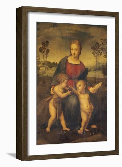 Madonna of the Goldfinch-Raphael-Framed Giclee Print