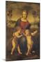 Madonna of the Goldfinch-Raphael-Mounted Giclee Print
