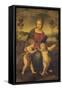 Madonna of the Goldfinch-Raphael-Framed Stretched Canvas