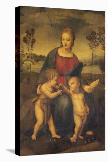 Madonna of the Goldfinch-Raphael-Stretched Canvas