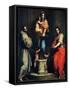 Madonna of the Harpies-Andrea del Sarto-Framed Stretched Canvas