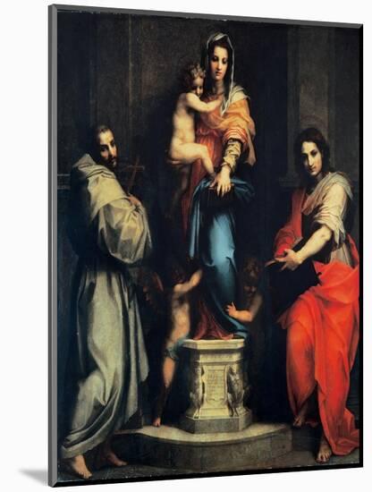 Madonna of the Harpies-Andrea del Sarto-Mounted Art Print