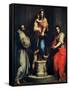 Madonna of the Harpies-Andrea del Sarto-Framed Stretched Canvas