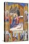 Madonna of the Magnificent: the Virgin Mary and the Saints-null-Stretched Canvas