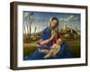 Madonna of the Meadow (Madonna Del Prato), 1505 (Oil on Canvas)-Giovanni Bellini-Framed Giclee Print