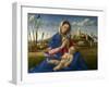 Madonna of the Meadow (Madonna Del Prato), 1505 (Oil on Canvas)-Giovanni Bellini-Framed Giclee Print