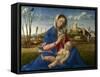 Madonna of the Meadow (Madonna Del Prato), 1505 (Oil on Canvas)-Giovanni Bellini-Framed Stretched Canvas