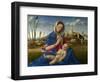 Madonna of the Meadow (Madonna Del Prato), 1505 (Oil on Canvas)-Giovanni Bellini-Framed Giclee Print