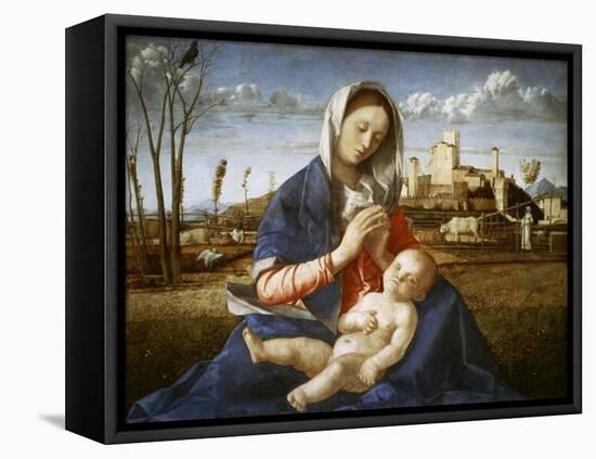 Madonna of the Meadow-Giovanni Bellini-Framed Stretched Canvas