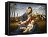 Madonna of the Meadow-Giovanni Bellini-Framed Stretched Canvas