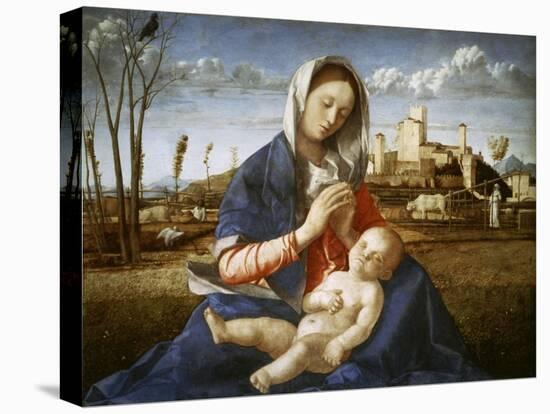 Madonna of the Meadow-Giovanni Bellini-Stretched Canvas