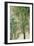 Madonna of the Orange Tree-Cima da Conegliano-Framed Giclee Print