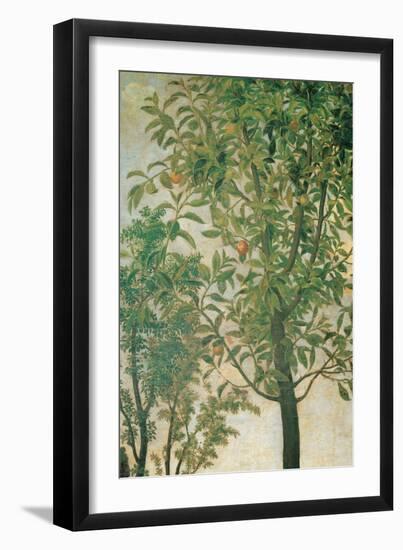 Madonna of the Orange Tree-Cima da Conegliano-Framed Giclee Print