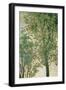 Madonna of the Orange Tree-Cima da Conegliano-Framed Giclee Print