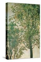 Madonna of the Orange Tree-Cima da Conegliano-Stretched Canvas