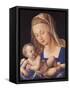 Madonna of the Pear-Albrecht Dürer-Framed Stretched Canvas