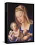 Madonna of the Pear-Albrecht Dürer-Framed Stretched Canvas