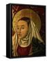 Madonna of the Pears-Paolo Di Ciacio-Framed Stretched Canvas