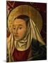 Madonna of the Pears-Paolo Di Ciacio-Mounted Giclee Print